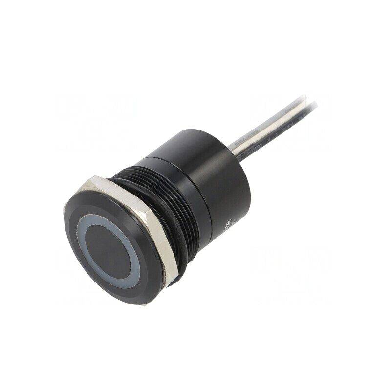 Comutator Capacitiv ON-OFF IP68 12V | Electronic-mag.ro | Componente Electronice