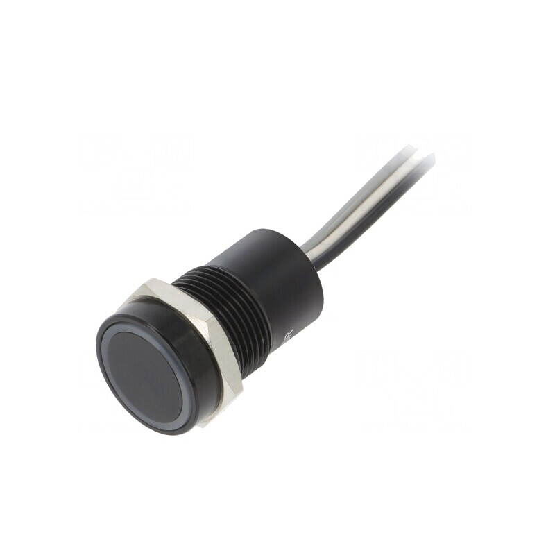 Comutator Capacitiv 12VDC IP68 | Electronic-mag.ro | Componente Electronice