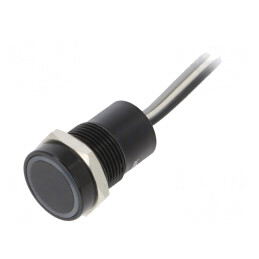 Comutator Capacitiv 12VDC IP68 | Electronic-mag.ro | Componente Electronice