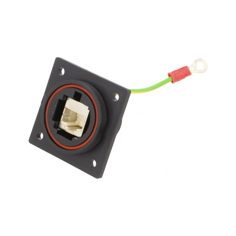Adaptor Ethernet cu Împământare Buccaneer 8 PIN | Electronic-mag.ro | Componente Electronice