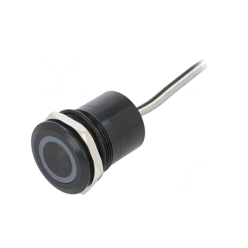 Comutator Capacitiv SPST-NO 12V IP68 | Electronic-mag.ro | Componente Electronice