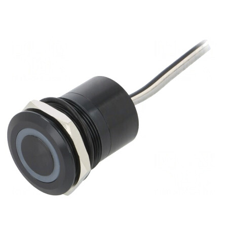 Comutator Capacitiv SPST-NO 12V IP68 | Electronic-mag.ro | Componente Electronice