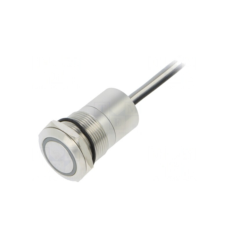 Comutator Capacitiv 2 Positii SPST-NO 12V IP68 | Electronic-mag.ro | Componente Electronice