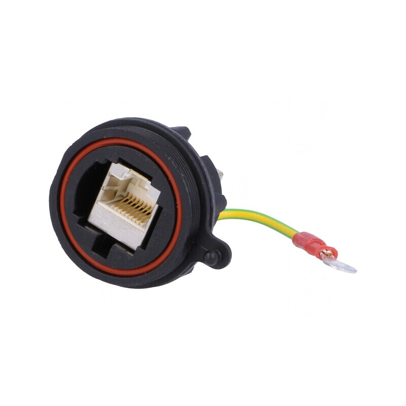Adaptor Ethernet 0,8m Buccaneer cu Împământare Aurit | Electronic-mag.ro | Componente Electronice