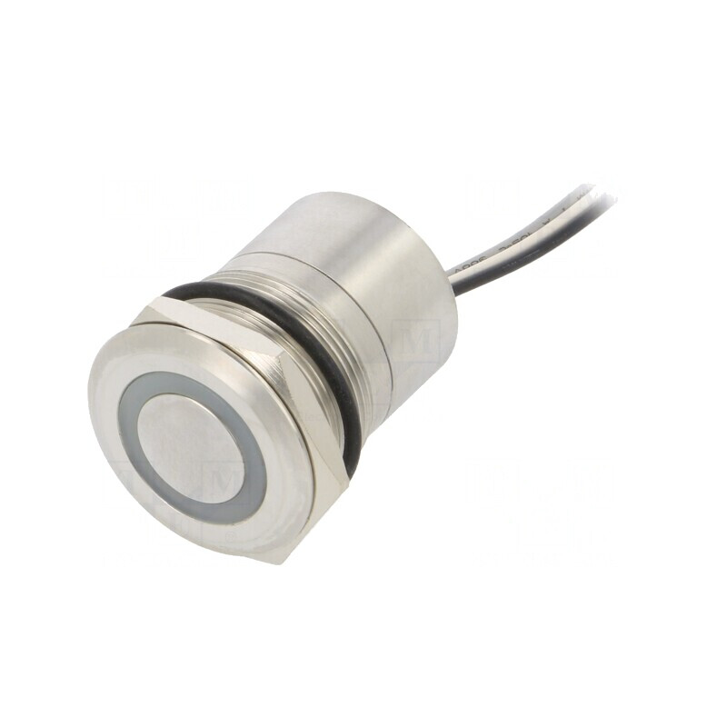 Comutator Capacitiv 2 Pozitii SPST-NO 12V IP68 | Electronic-mag.ro | Componente Electronice