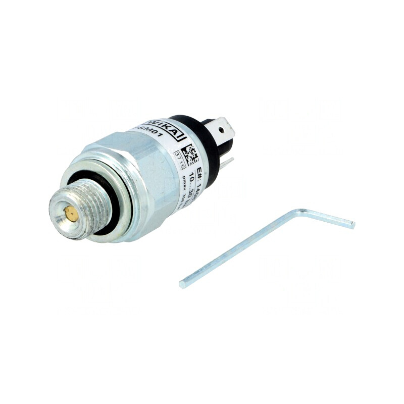 Presostat Presiune Relativă SPDT G 1/4 | Electronic-mag.ro | Componente Electronice