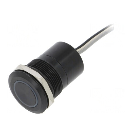 Comutator Capacitiv 2 Pozitii SPST-NO 12V IP68 | Electronic-mag.ro | Componente Electronice