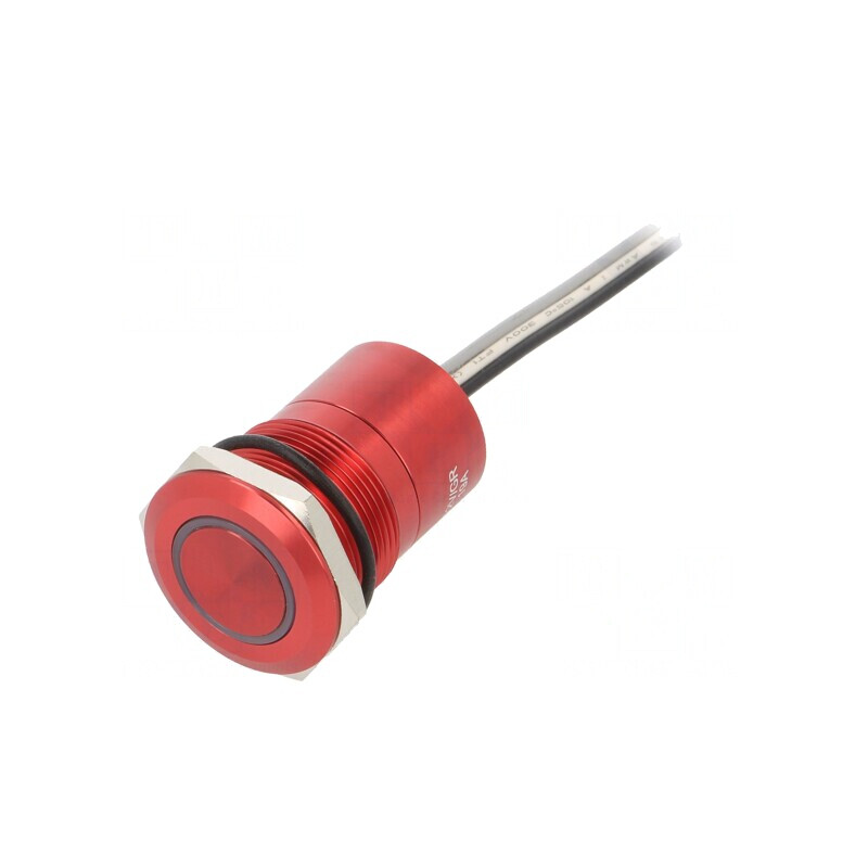 Comutator Capacitiv SPST-NO 12V IP68 | Electronic-mag.ro | Componente Electronice