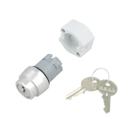 Comutator Rotativ cu Cheie 22mm Argintie 3 Pozitii | Electronic-mag.ro | Componente Electronice