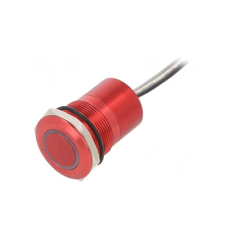 Comutator Capacitiv SPST-NO 12V IP68 | Electronic-mag.ro | Componente Electronice