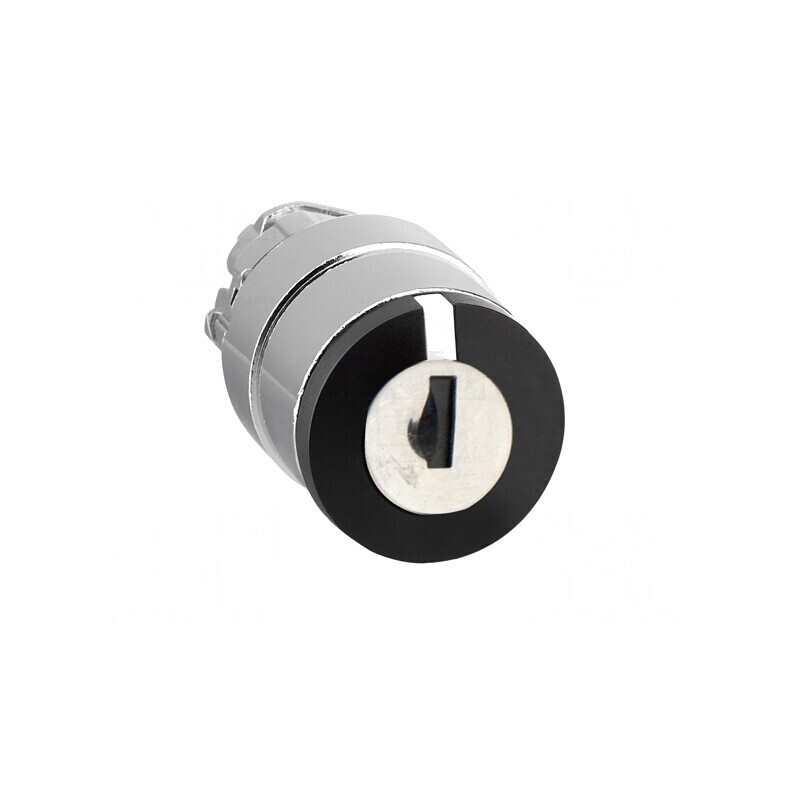 Comutator rotativ cu cheie negru 22mm 2 poziții | Electronic-mag.ro | Componente Electronice