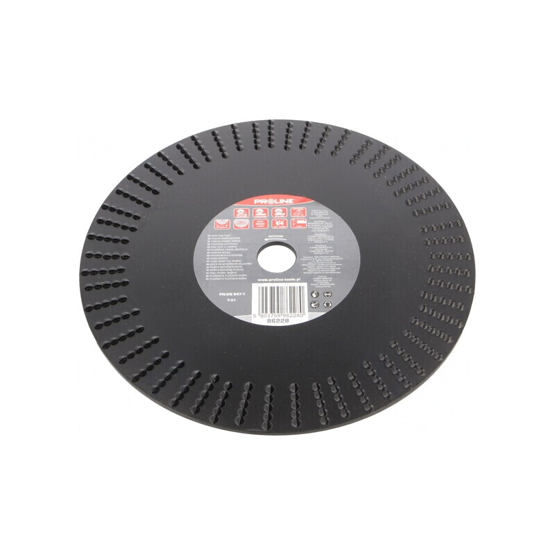 Disc de Șlefuire pentru Lemn 230mm 22.23mm | Electronic-mag.ro | Componente Electronice