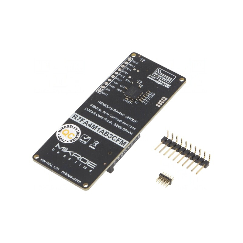Renesas ARM RA4M1 Development Kit with JTAG/SWD and USB C | Electronic-mag.ro | Componente Electronice