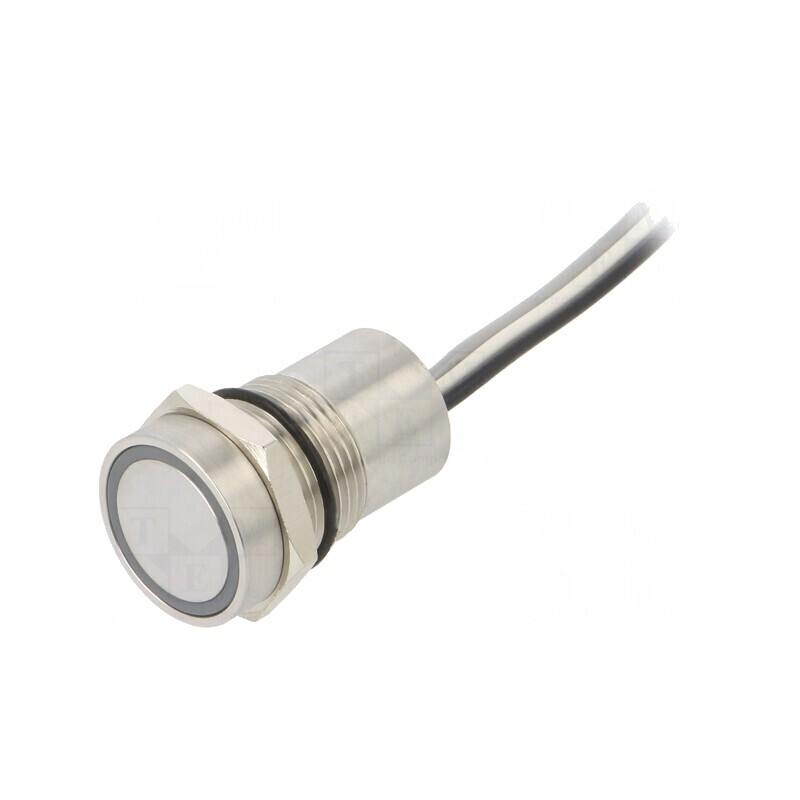 Comutator Capacitiv SPST-NO 12V IP68 | Electronic-mag.ro | Componente Electronice