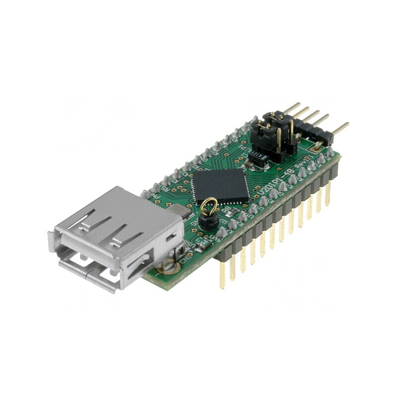 Modul USB DIP24 cu Ieşire 3,3VDC/200mA | Electronic-mag.ro | Componente Electronice