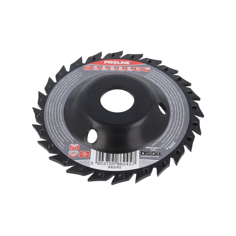 Grinding Wheel 115mm with Rasp | Electronic-mag.ro | Componente Electronice