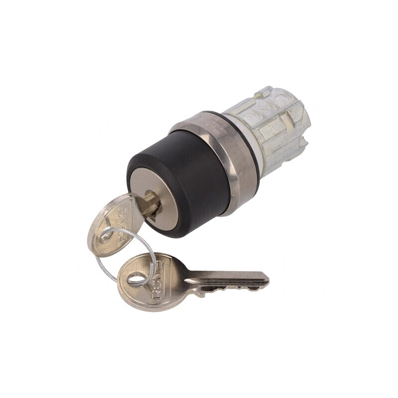 Comutator Rotativ cu Cheie 22mm Argintiu | Electronic-mag.ro | Componente Electronice