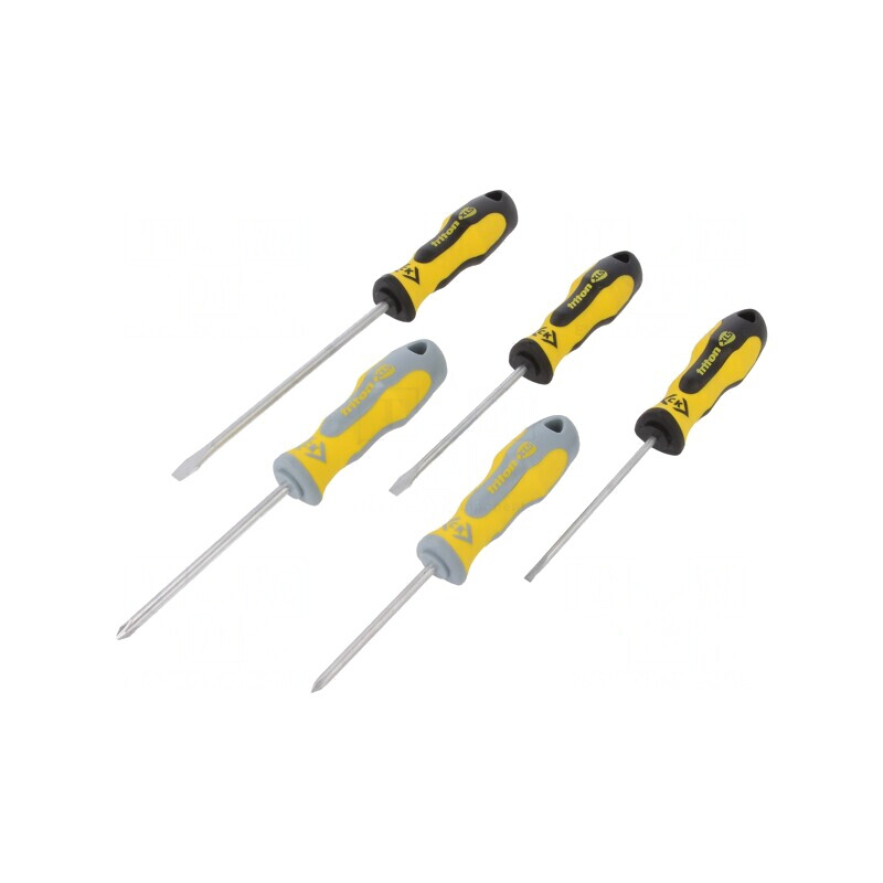 Set Şurubelniţe Phillips şi Plată 5 Bucăţi | Electronic-mag.ro | Componente Electronice