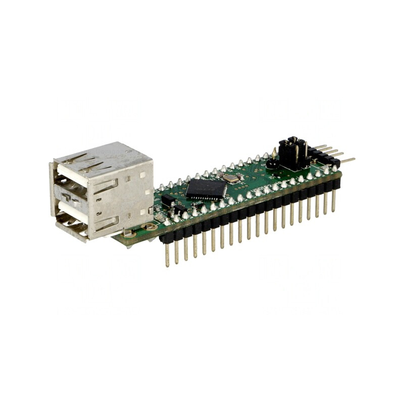 Modul USB DIP40 cu 2 Porturi USB A, 5VDC | Electronic-mag.ro | Componente Electronice