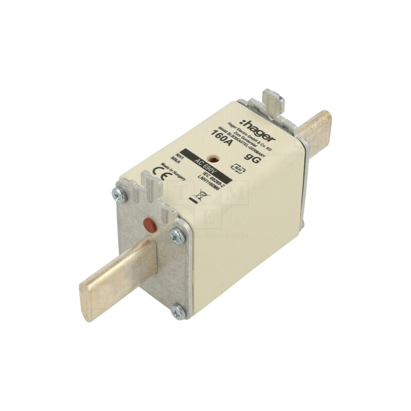 Siguranță Industrială gG 160A 690VAC NH1 | Electronic-mag.ro | Componente Electronice