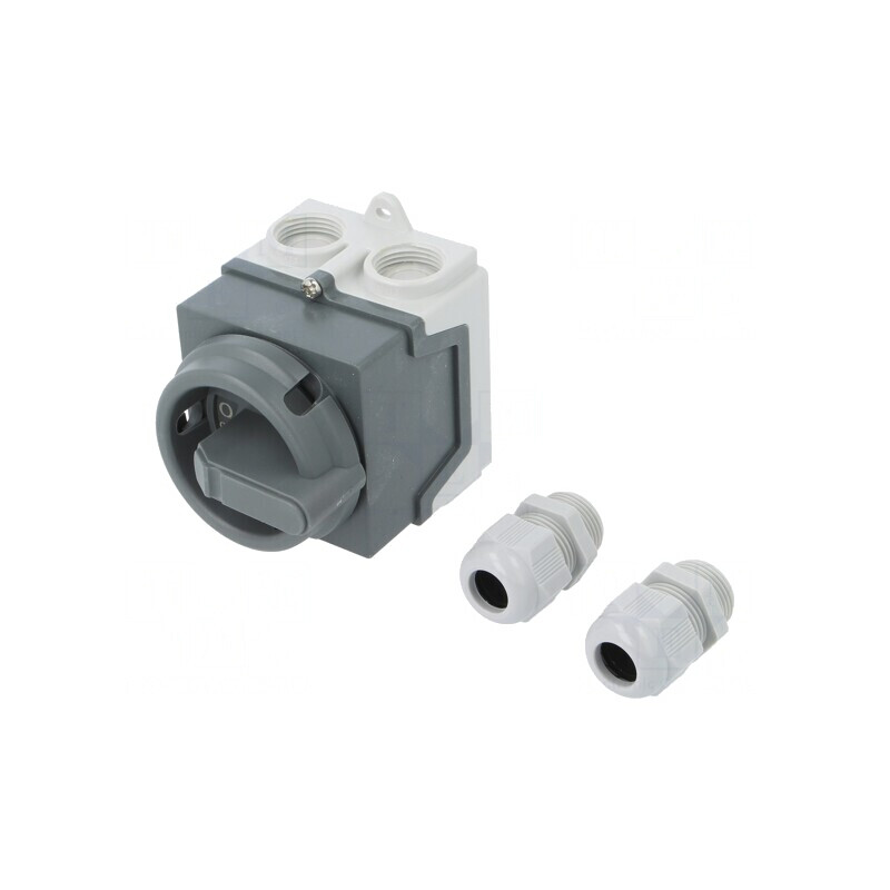 Comutator cu Came 20A 2 Poziții 4 Poli în Carcasă | Electronic-mag.ro | Componente Electronice Comutator cu Came 20A 2 Poziții 4 Poli în Carcasă | Electronic-mag.ro | Componente Electronice