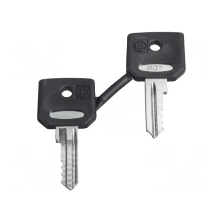 Cheie 22mm Harmony XB4 - Set 2 Bucăți | Electronic-mag.ro | Componente Electronice