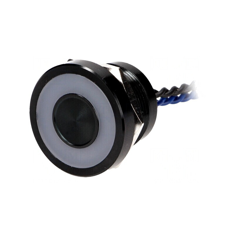Comutator Piezoelectric SPST-NO 24V | Electronic-mag.ro | Componente Electronice