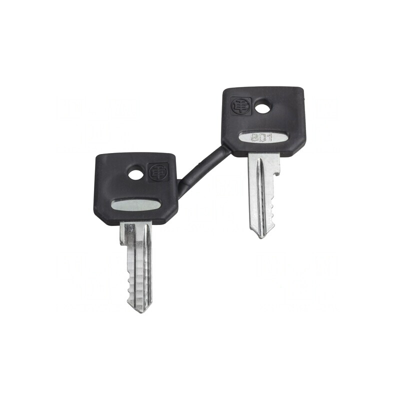 Cheie 22mm Harmony XB4 - Pachet 2 Bucăți | Electronic-mag.ro | Componente Electronice Cheie 22mm Harmony XB4 - Pachet 2 Bucăți | Electronic-mag.ro | Componente Electronice