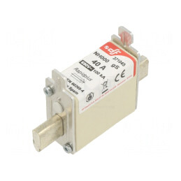 Siguranță gS 40A 690VAC 440VDC NH000 | Electronic-mag.ro | Componente Electronice