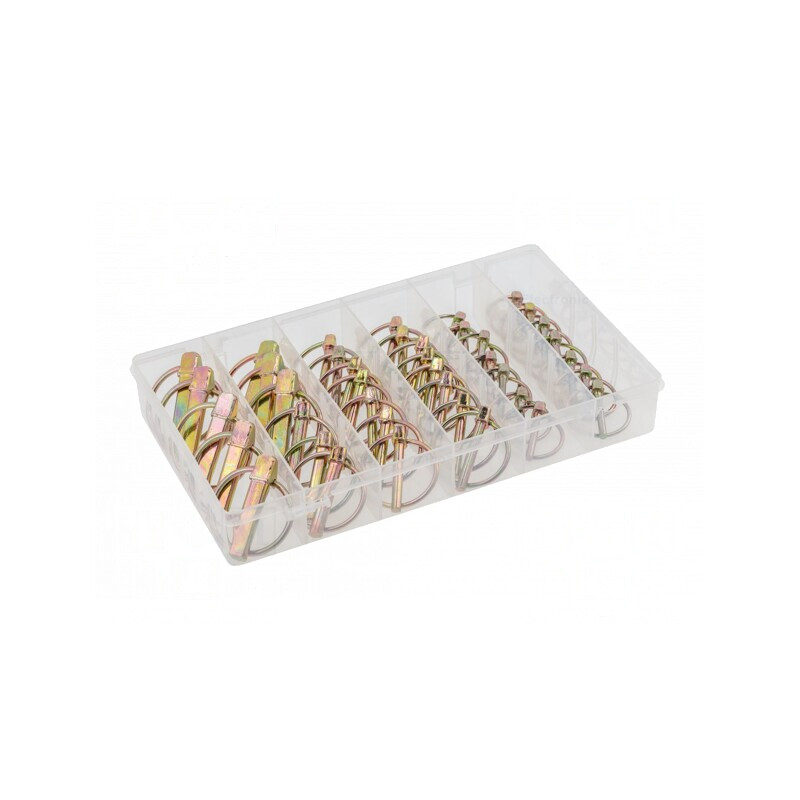 Set 50 Pini pentru Securizare HT8G506 | Electronic-mag.ro | Componente Electronice Set 50 Pini pentru Securizare HT8G506 | Electronic-mag.ro | Componente Electronice