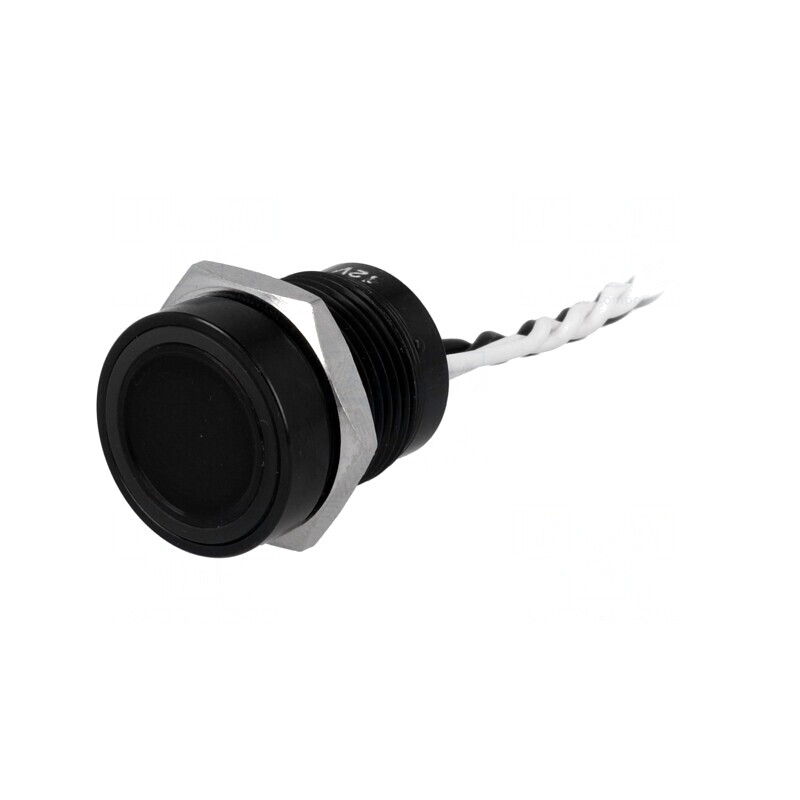 Comutator Piezoelectric PS165P10YBK1W12V 24V 0.2A | Electronic-mag.ro | Componente Electronice