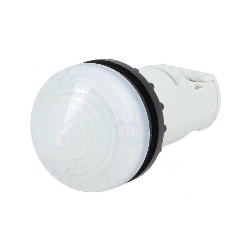 Lumină de control albă 22mm IP67 RMQ-Titan | Electronic-mag.ro | Componente Electronice