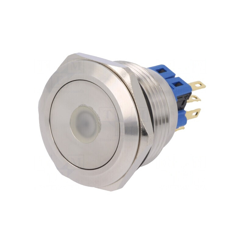 Comutator Anti-Vandalism 2 Poz SPDT 3A/220VAC 5A/24VDC IP65 | Electronic-mag.ro | Componente Electronice