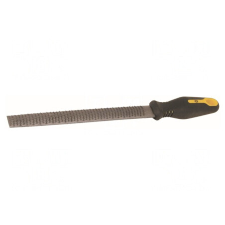 Pilă Rașpel Plată 250mm pentru Lemn și Oțel | Electronic-mag.ro | Componente Electronice