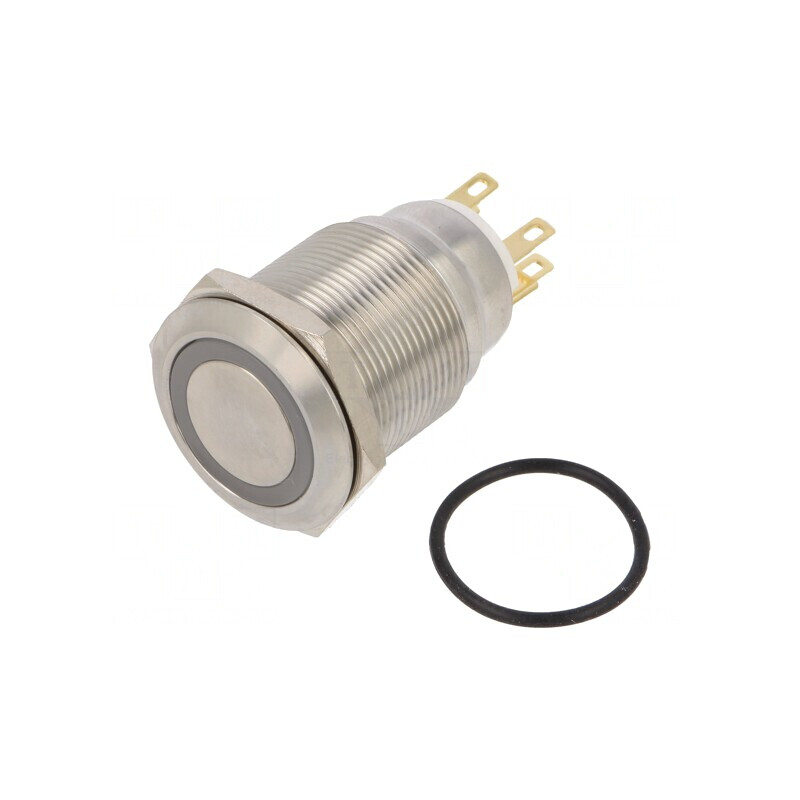 Comutator Anti-Vandalism IP65 12V | Electronic-mag.ro | Componente Electronice