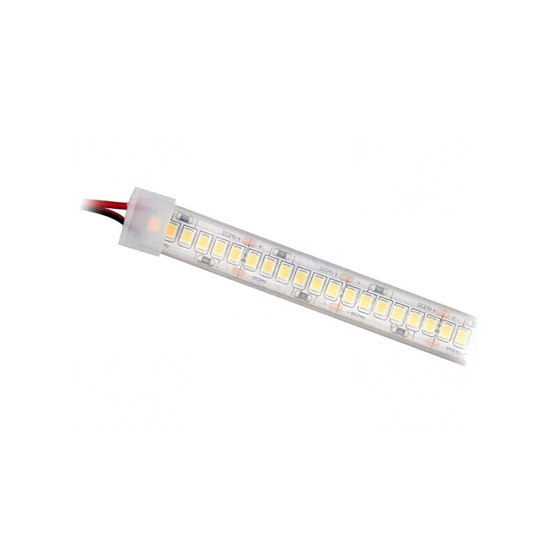 Bandă LED Alb Rece 24V IP65 | Electronic-mag.ro | Componente Electronice