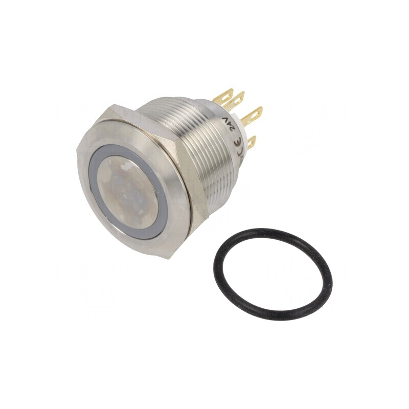Comutator Anti-Vandalism 2 Poz SPDT 3A/220VAC 5A/24VDC IP65 | Electronic-mag.ro | Componente Electronice