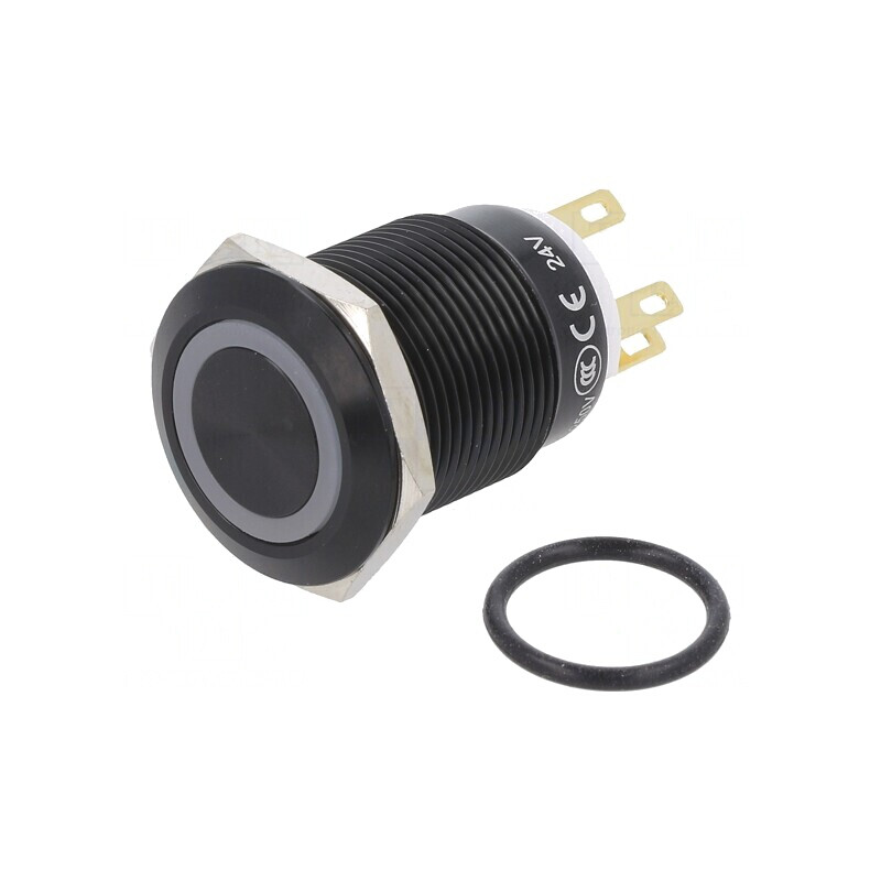 Comutator Anti-Vandalism SPDT IP65 3A/220VAC 5A/24VDC | Electronic-mag.ro | Componente Electronice