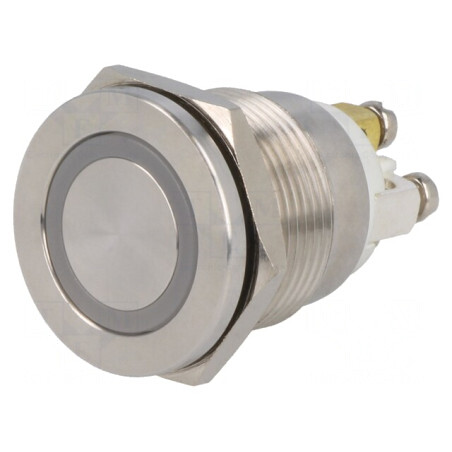 Comutator Anti-Vandalism SPST-NO 0,5A 220V | Electronic-mag.ro | Componente Electronice