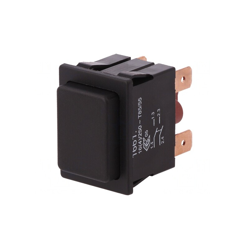 Comutator Apăsare DPST-NO 16A 250V | Electronic-mag.ro | Componente Electronice