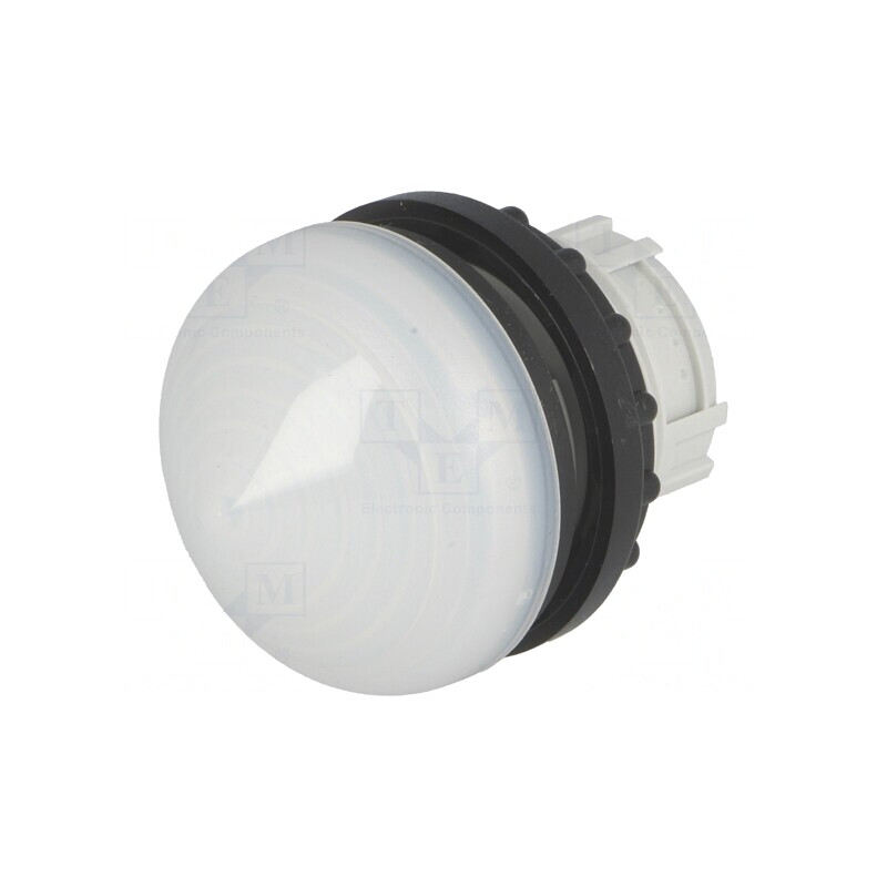 Lumină de Control 22mm RMQ-Titan IP67  | Electronic-mag.ro | Componente Electronice