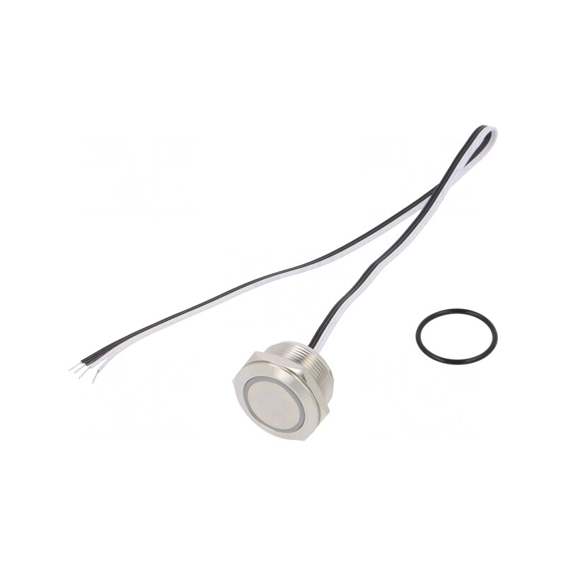 Comutator Anti-Vandalism 2 Poz SPST-NO 50mA 24VDC IP65 Ø22mm | Electronic-mag.ro | Componente Electronice