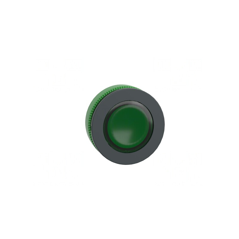 Comutator Verde 30mm IP66 | Electronic-mag.ro | Componente Electronice
