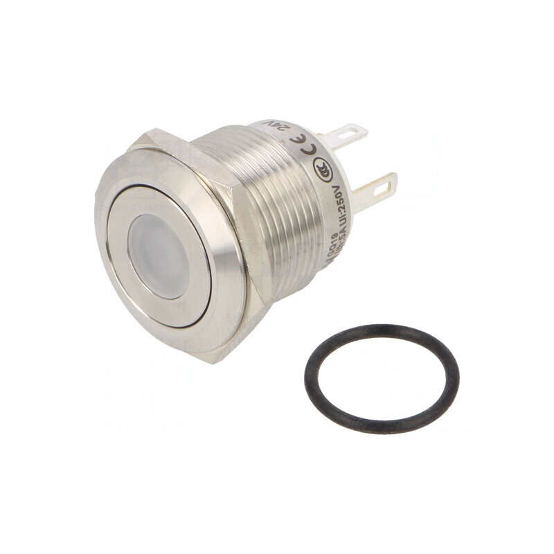 Comutator Anti-Vandalism SPST-NO 0,5A 220VAC 2A 36VDC | Electronic-mag.ro | Componente Electronice