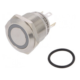 Comutator Anti-Vandalism SPST-NO 0,5A/220VAC 2A/36VDC | Electronic-mag.ro | Componente Electronice