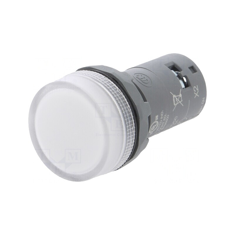 Control Luminos LED Ø22mm 48-60VAC | Electronic-mag.ro | Componente Electronice