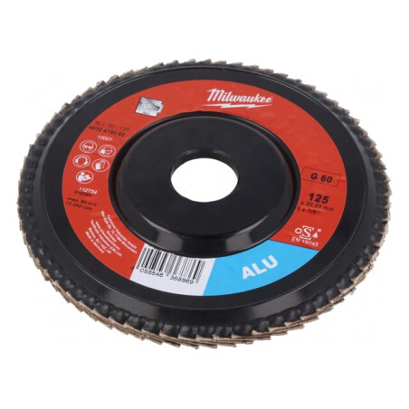 Disc de Șlefuit cu Lambouri 125mm 22,2mm | Electronic-mag.ro | Componente Electronice