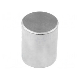 Magnet Neodim 20mm 24N Oțel | Electronic-mag.ro | Componente Electronice