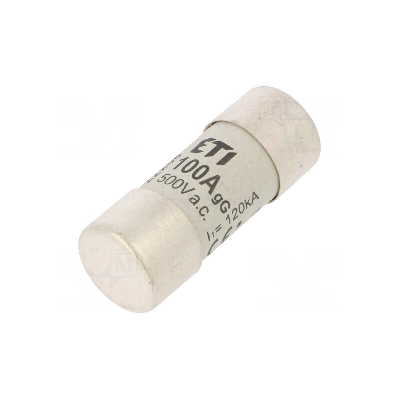 Siguranță Industrială gG 100A 500VAC Cilindrică | Electronic-mag.ro | Componente Electronice