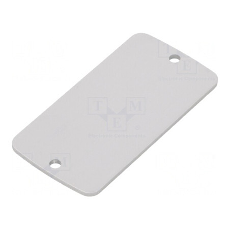 Panou Anterior Aluminiu 30.8mm x 59.9mm x 2mm | Electronic-mag.ro | Componente Electronice